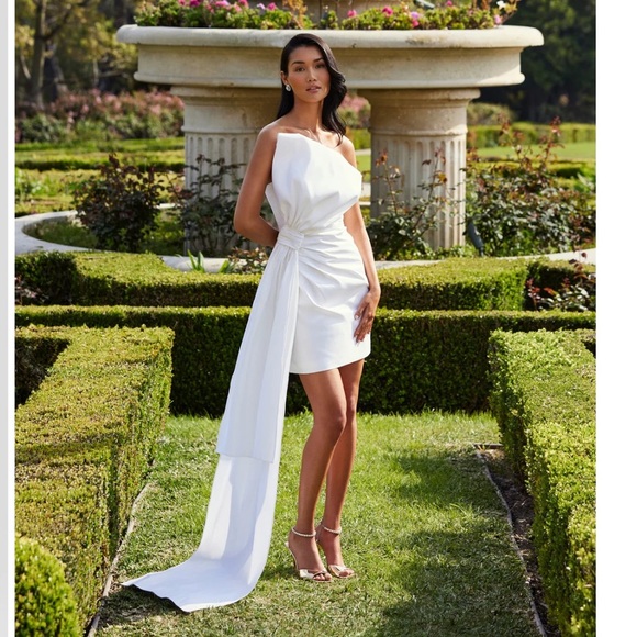 Alexia Maria Nadine Silk Draped Strapless Minidress - Picture 1 of 12